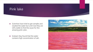 Pink lake
 Scientists have tried to get samples and
studied the water but until now they are
still unable to find the cause for this
amazing pink color.
 Instead, they found that the water
contains high concentration of salt .
 
