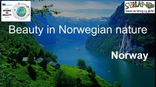 Norway
Beauty in Norwegian nature
 