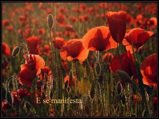 E se manifesta  