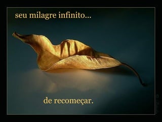 seu milagre infinito... de recomeçar. 