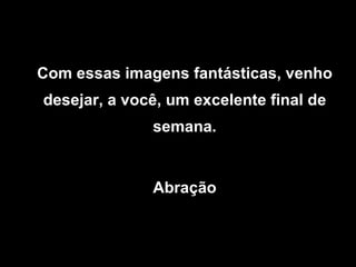 Com essas imagens fantásticas, venho desejar, a você, um excelente final de semana. Abração 