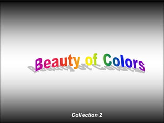 Beauty of Colors Collection 2 