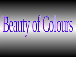 BEAUTY OF COLOURS