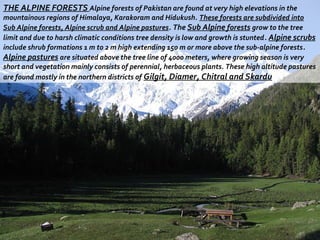 Beauty of pakistan | PPT