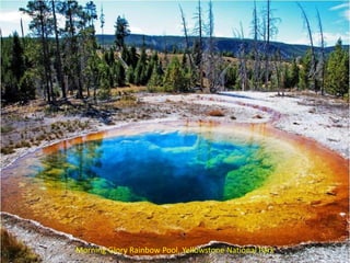 Morning Glory Rainbow Pool, Yellowstone National Park
 