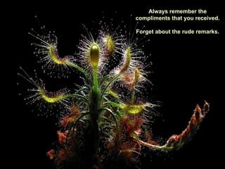 Always remember the compliments that you received. Forget about the rude remarks. 