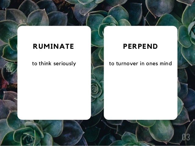 Aesthetic Words