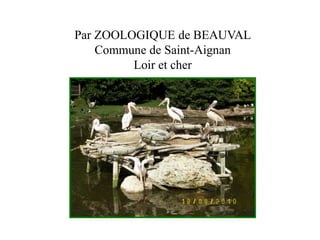 Par ZOOLOGIQUE de BEAUVAL 
Commune de Saint-Aignan 
Loir et cher 
 