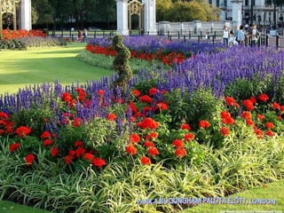 PARK A BUCKINGHAM PALOTA ELŐTT, LONDON 
