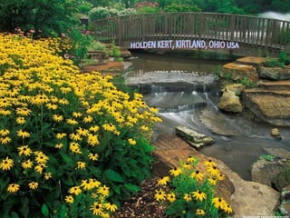 HOLDEN KERT, KIRTLAND, OHIO USA 