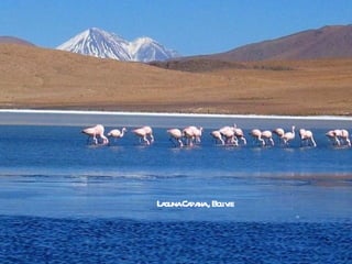 L gunaCa na, Bol ie
 a      pa     iv
 