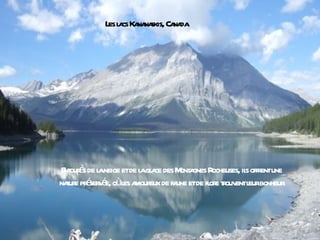 L l cs Ka na Ca da
              es a na skis, na




 nt é a
E our s de l neige etde l gl ce des M a R
                        a a          ont gnes ocheuses, il offr une
                                                         s ent
naur pr ser é oùl a eux de fa etde fl e touv l bonheur
  t e é v e, es mour                une      or r ent eur
 