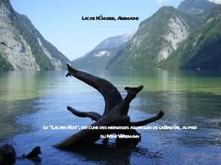 L c de Kö
              a       niqsee, Al gne
                               lema




L "L c des R estl des mer eiles a t de l Ba ièe, a pied
 e a        ois", 'une       v l quaiques a v r u
                       du M Wt nn
                           ont azma
 