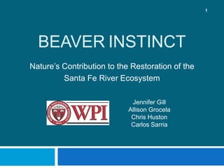 BeaverInstinct Nature’s Contribution to the Restoration of the  Santa Fe River Ecosystem Jennifer Gill Allison Grocela Chris Huston Carlos Sarria 1 