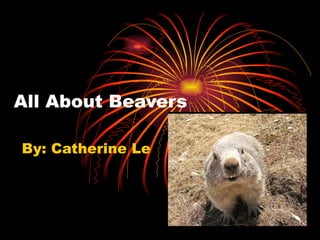 All About Beavers By: Catherine Le 