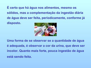 É certo que há água nos alimentos, mesmo os sólidos, mas a complementação da ingestão diária de água deve ser feita, periodicamente, conforme já disposto. Uma forma de se observar se a quantidade de água é adequada, é observar a cor da urina, que deve ser incolor. Quanto mais forte, pouca ingestão de água está sendo feita. 