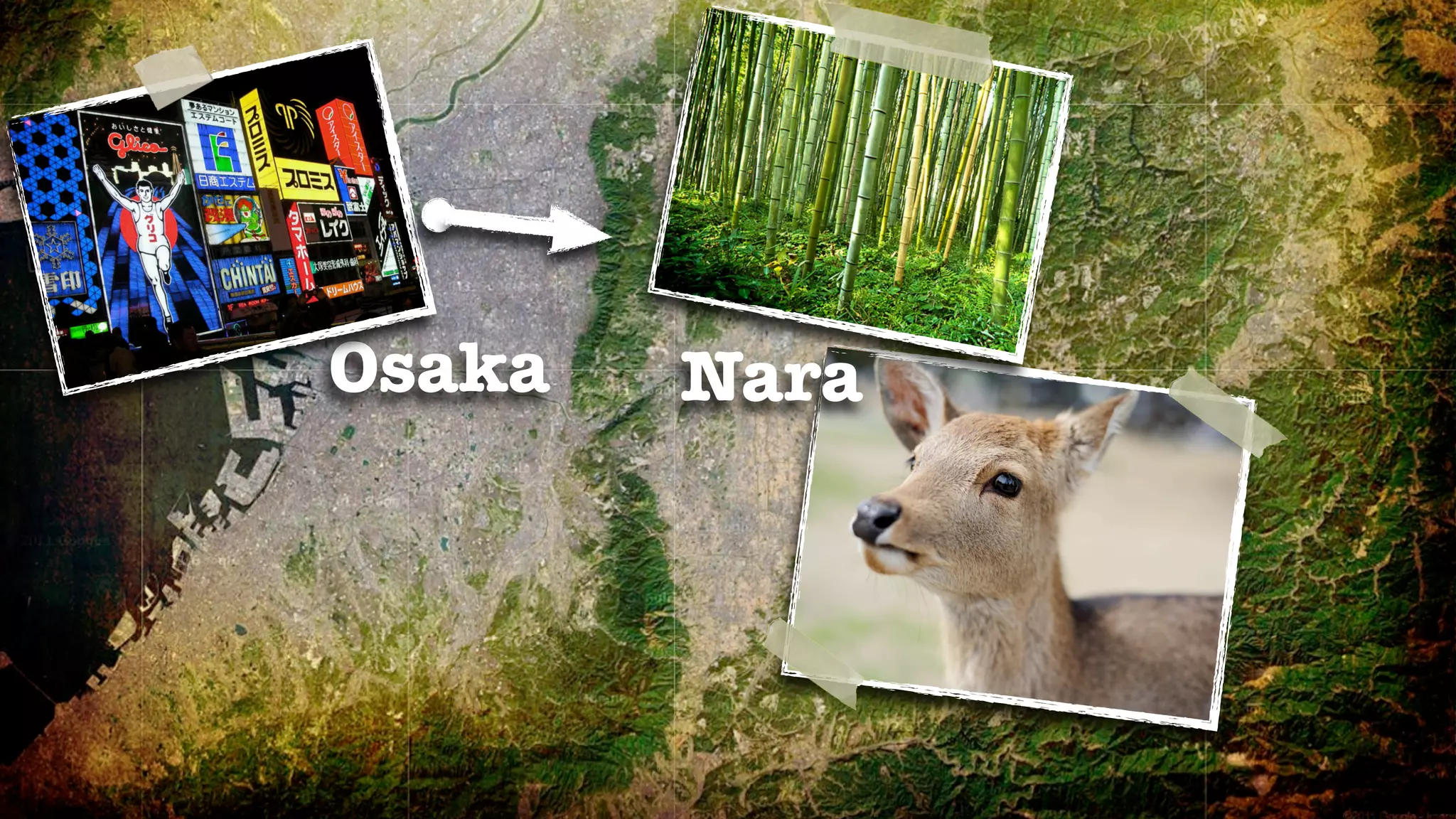 Osaka   Nara
 