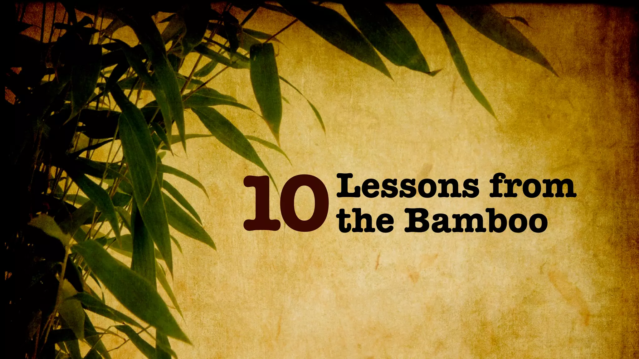 10   Lessons from
     the Bamboo
 