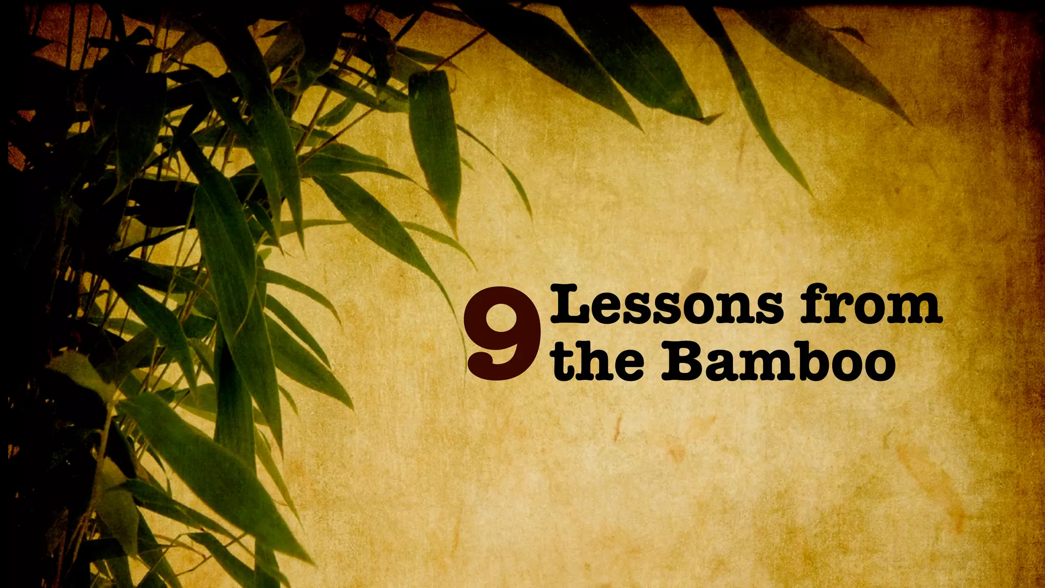 9   Lessons from
    the Bamboo
 