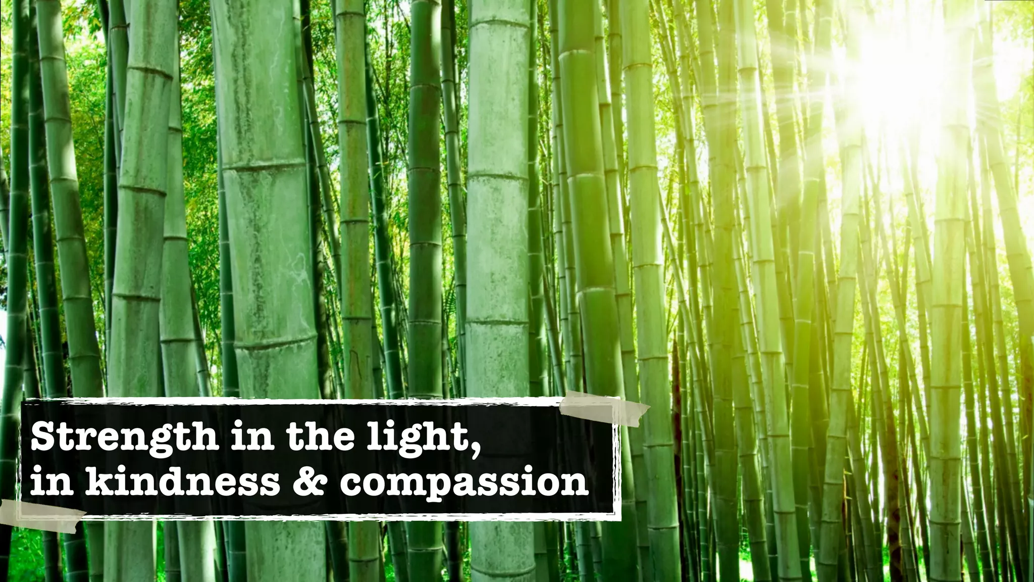 Strength in the light,
in kindness & compassion
 