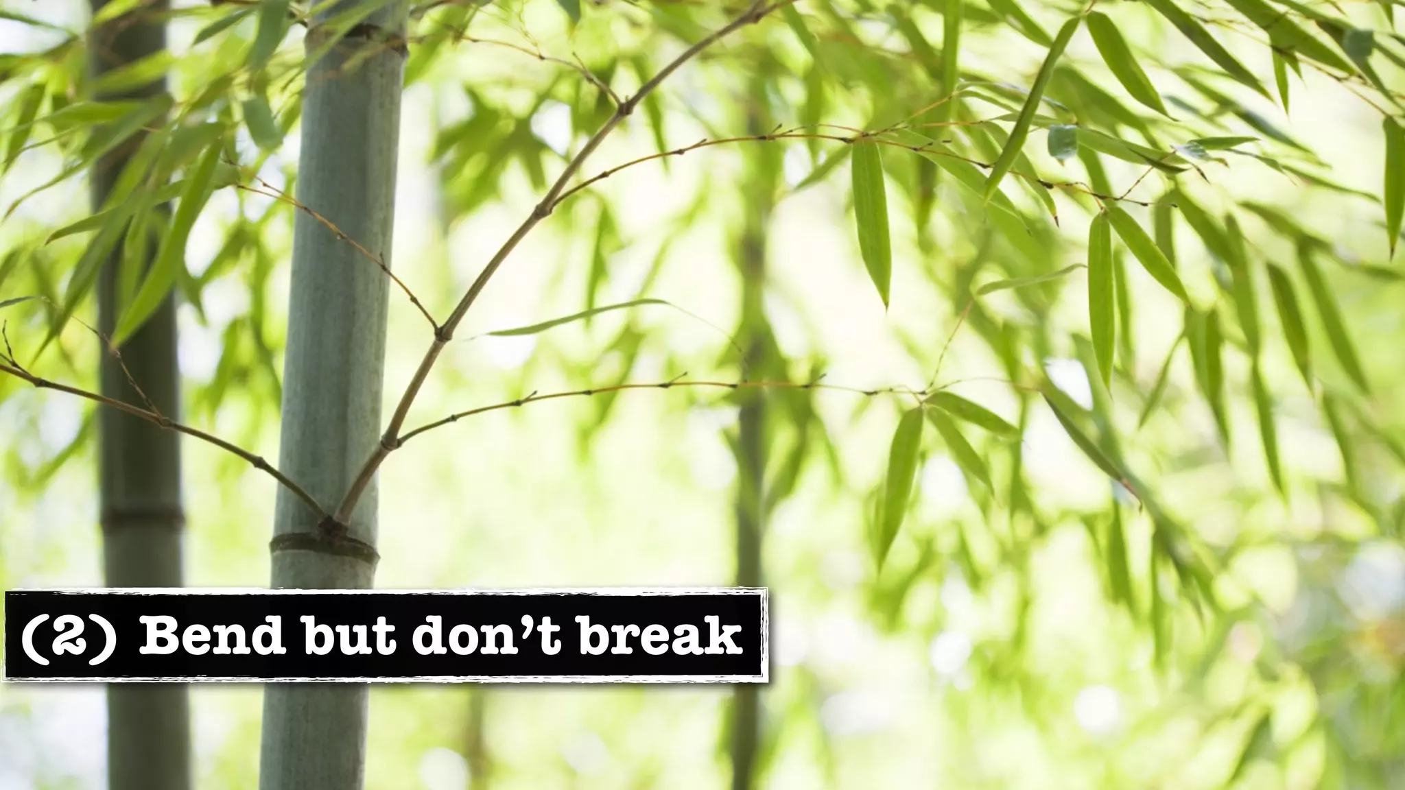 (2) Bend but don’t break
 