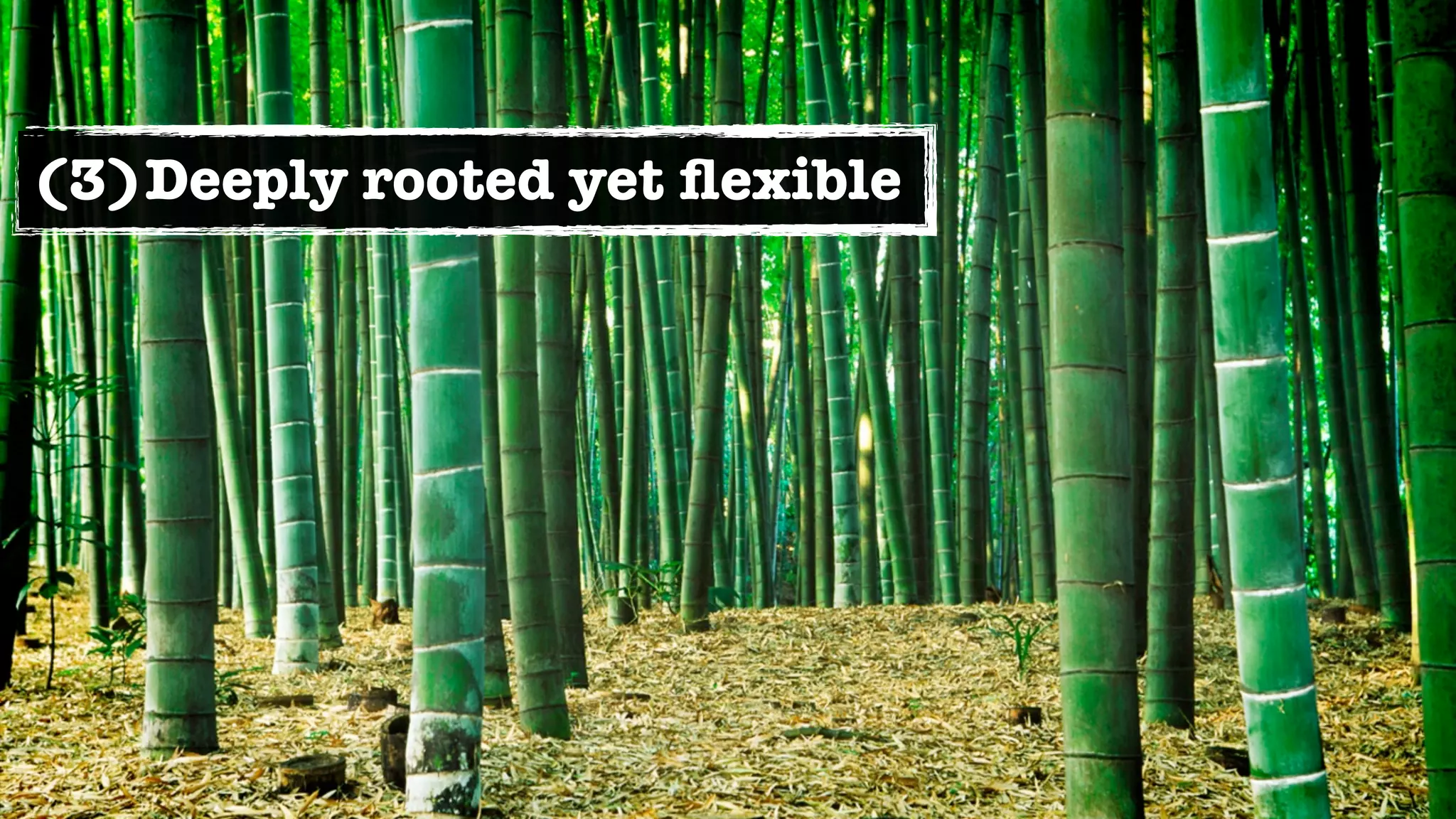 (3)Deeply rooted yet ﬂexible
 