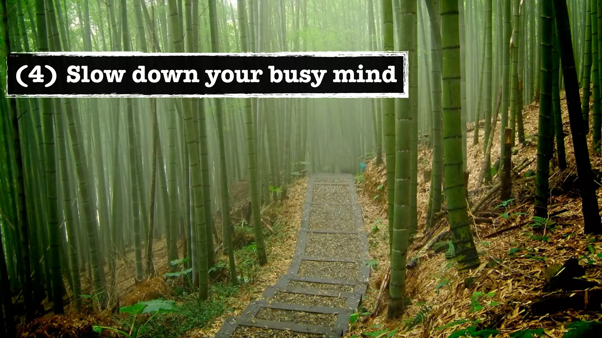 (4) Slow down your busy mind
 