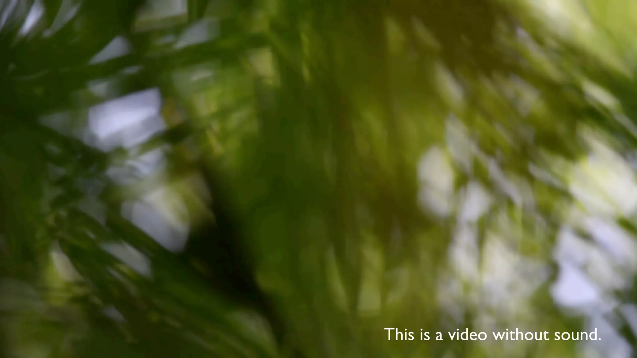 This is a video without sound.
 
