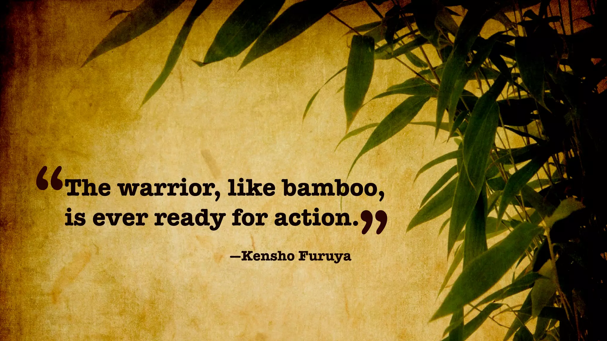 “
The warrior, like bamboo,
is ever ready for action.
            —Kensho Furuya
                             ”
 