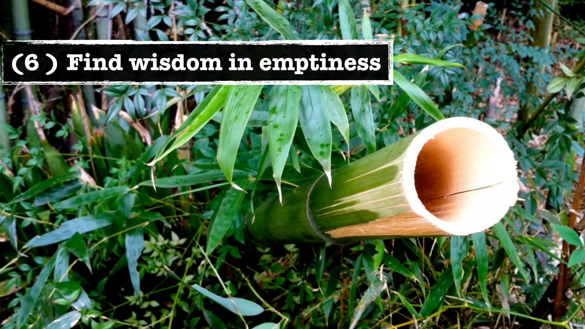 (6 ) Find wisdom in emptiness
 