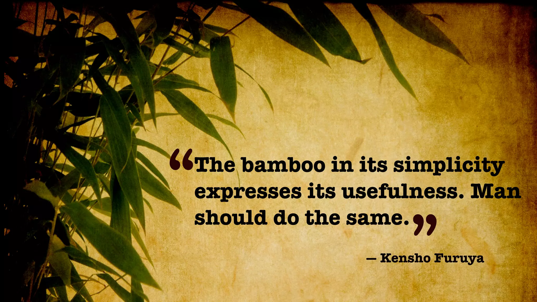 “
The bamboo in its simplicity
expresses its usefulness. Man
should do the same.
                    ”
               — Kensho Furuya
 