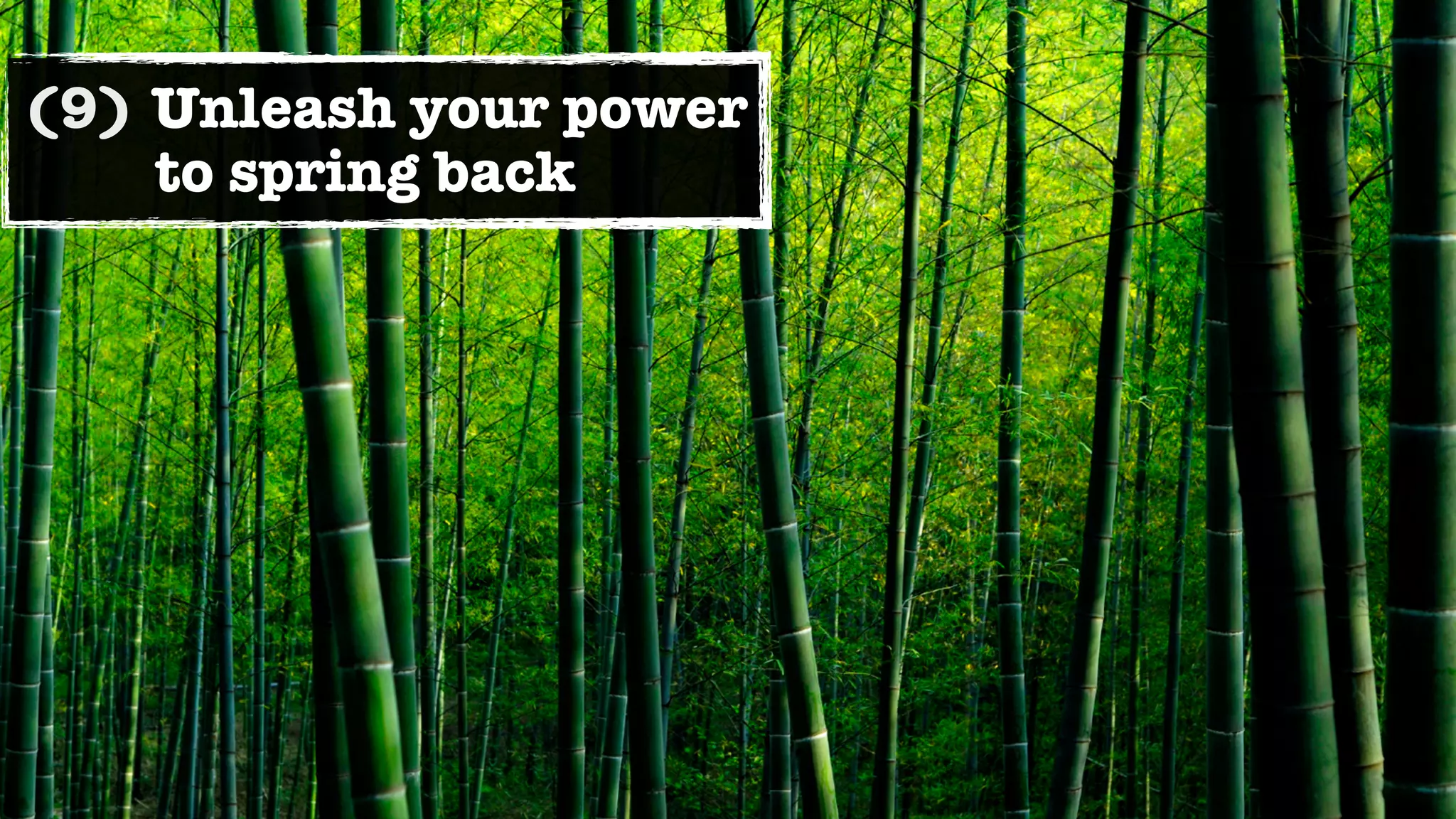 (9) Unleash your power
    to spring back
 