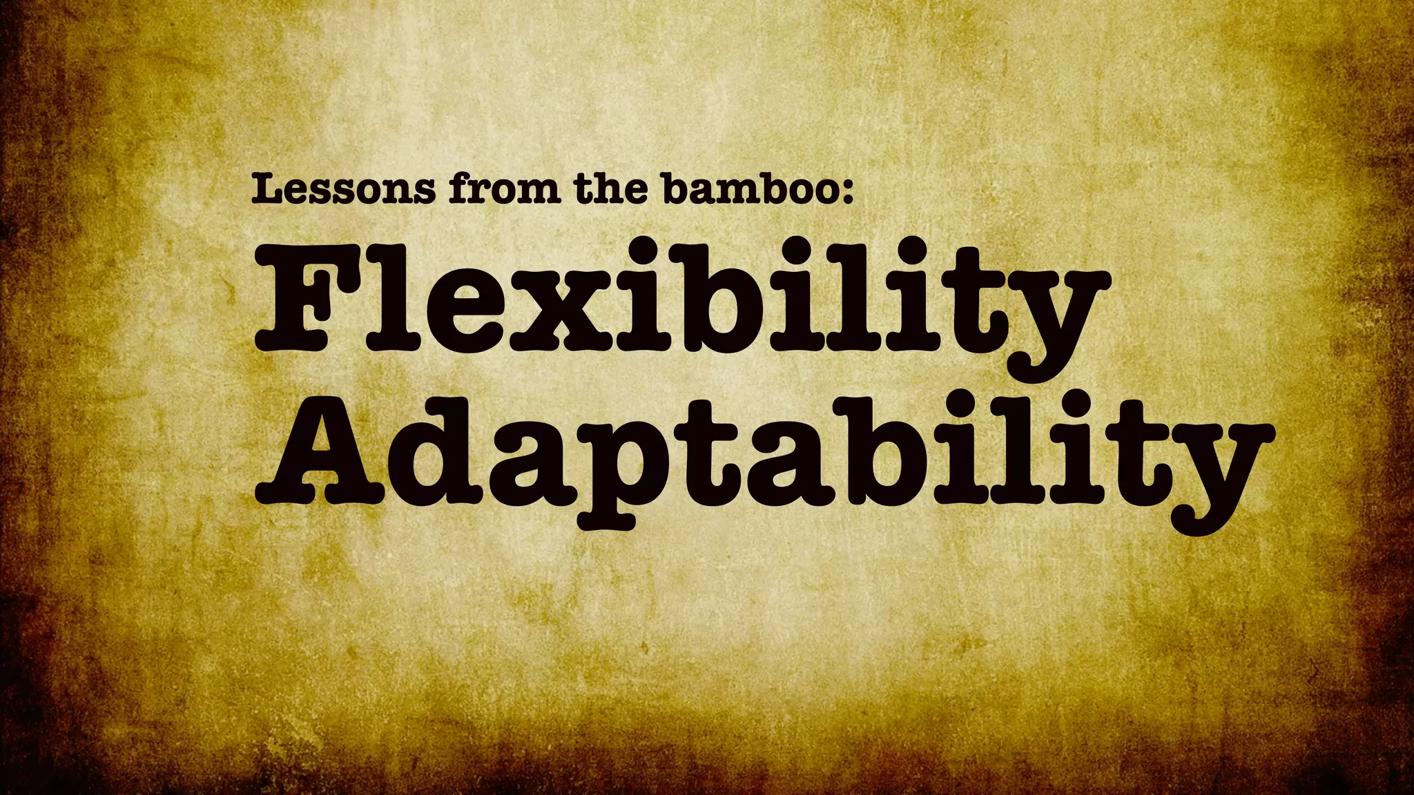Lessons from the bamboo:


Flexibility
Adaptability
 