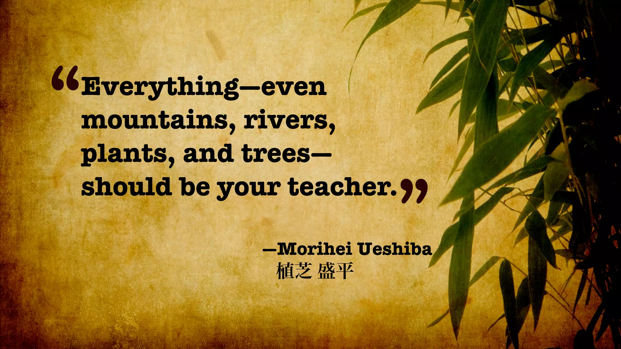 “
Everything—even
mountains, rivers,
plants, and trees—
should be your teacher.
                         ”
             —Morihei Ueshiba
 