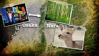 Osaka   Nara
 