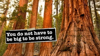 You do n  ot have to
b e big to b e strong.
 