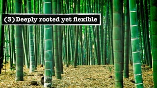 (3)Deeply rooted yet ﬂexible
 
