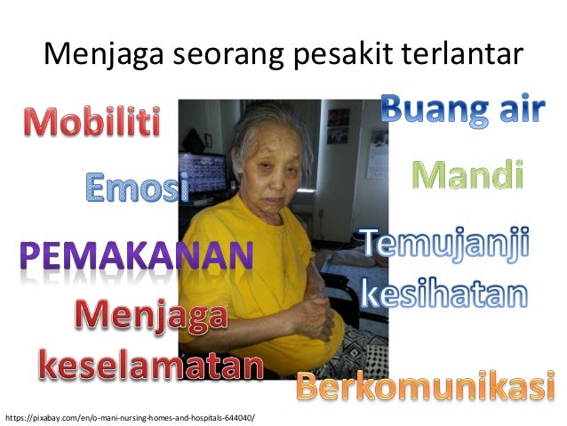 Jabatan Perubatan Keluarga Ppukm - Customise p