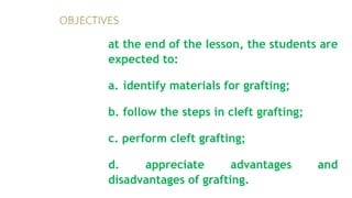 at the end of the lesson, the students are
expected to:
a. identify materials for grafting;
b. follow the steps in cleft grafting;
c. perform cleft grafting;
d. appreciate advantages and
disadvantages of grafting.
OBJECTIVES
 