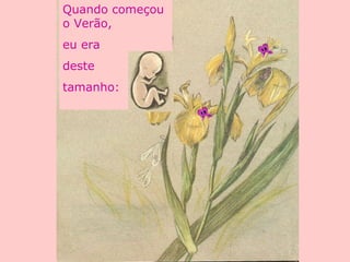 Quando começou
o Verão,
eu era
deste
tamanho:
 