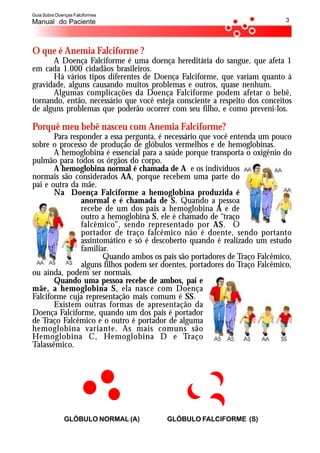 Guia Sobre Doenças Falciformes
Manual do Paciente                                                           3




O que é Anemia Falciforme ?
      A Doença Falciforme é uma doença hereditária do sangue, que afeta 1
em cada 1.000 cidadãos brasileiros.
      Há vários tipos diferentes de Doença Falciforme, que variam quanto à
gravidade, alguns causando muitos problemas e outros, quase nenhum.
      Algumas complicações da Doença Falciforme podem afetar o bebê,
tornando, então, necessário que você esteja consciente a respeito dos conceitos
de alguns problemas que poderão ocorrer com seu filho, e como preveni-los.

Porquê meu bebê nasceu com Anemia Falciforme?
       Para responder a essa pergunta, é necessário que você entenda um pouco
sobre o processo de produção de glóbulos vermelhos e de hemoglobinas.
       A hemoglobina é essencial para a saúde porque transporta o oxigênio do
pulmão para todos os órgãos do corpo.
       A hemoglobina normal é chamada de A e os indivíduos
normais são considerados AA, porque recebem uma parte do
pai e outra da mãe.
       Na Doença Falciforme a hemoglobina produzida é
               anormal e é chamada de S. Quando a pessoa
               recebe de um dos pais a hemoglobina A e de
               outro a hemoglobina S, ele é chamado de “traço
               falcêmico”, sendo representado por AS. O
               portador de traço falcêmico não é doente, sendo portanto
               assintomático e só é descoberto quando é realizado um estudo
               familiar.
                      Quando ambos os pais são portadores de Traço Falcêmico,
               alguns filhos podem ser doentes, portadores do Traço Falcêmico,
ou ainda, podem ser normais.
       Quando uma pessoa recebe de ambos, pai e
mãe, a hemoglobina S, ela nasce com Doença
Falciforme cuja representação mais comum é SS.
       Existem outras formas de apresentação da
Doença Falciforme, quando um dos pais é portador
de Traço Falcêmico e o outro é portador de alguma
hemoglobina variante. As mais comuns são
Hemoglobina C, Hemoglobina D e Traço
Talassêmico.




              GLÓBULO NORMAL (A)         GLÓBULO FALCIFORME (S)
 