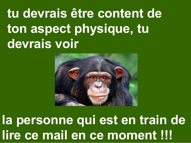 Bebe Singe