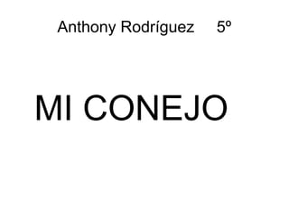 Anthony Rodríguez 5º
MI CONEJO
 