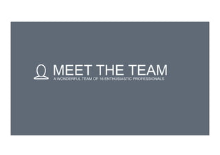 MEET THE TEAMA WONDERFUL TEAM OF 16 ENTHUSIASTIC PROFESSIONALS
 