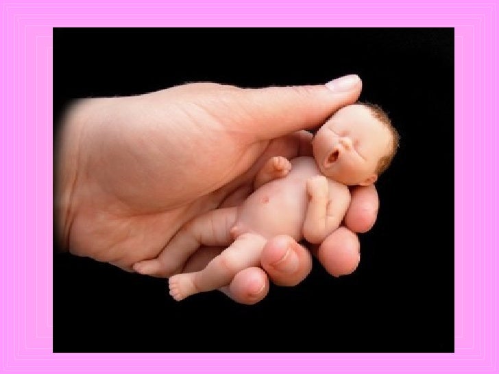 Bebe En Pate D Amande2agarder Bebe En Pate D Amande2agarder