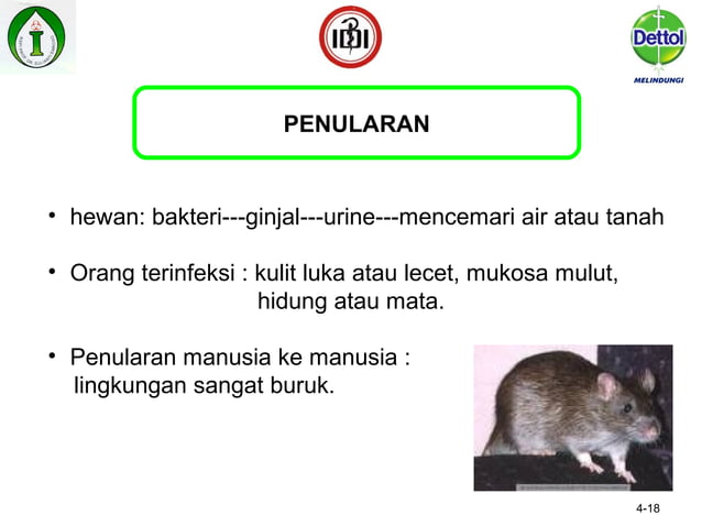 Beberapa penyakit infeksi dan cara penularannya | PPT