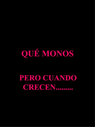 QUÉ MONOS PERO CUANDO CRECEN......... 