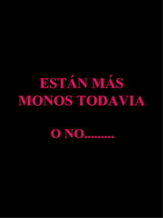 ESTÁN MÁS MONOS TODAVIA O NO......... 