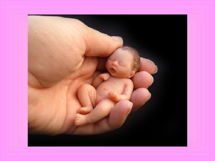 Bebes Pate Amande Bebes Pate Amande
