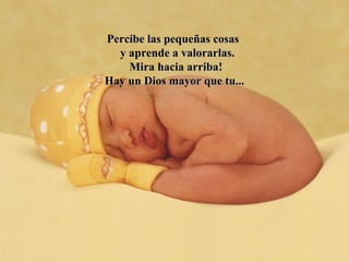 Percibe las pequeñas cosasPercibe las pequeñas cosas
y aprende a valorarlas.y aprende a valorarlas.
Mira hacia arriba!Mira hacia arriba!
Hay un Dios mayor que tu...Hay un Dios mayor que tu...
 